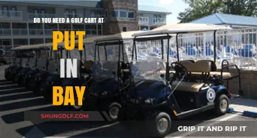 Exploring Put-in-Bay: Is a Golf Cart Rental Essential for Your Visit?