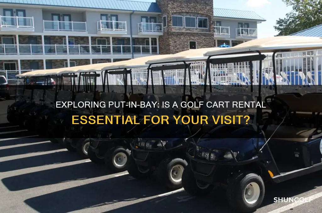 do you need a golf cart at put in bay