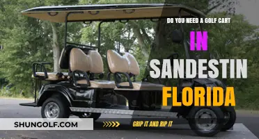 Exploring Sandestin, Florida: Is a Golf Cart Essential for Your Stay?