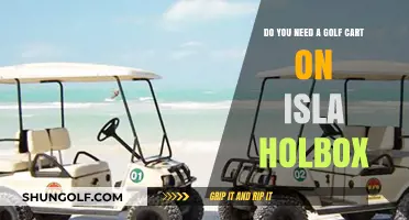 Exploring Isla Holbox: Is a Golf Cart Essential for Your Visit?