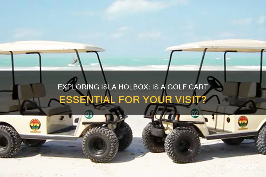 do you need a golf cart on isla holbox