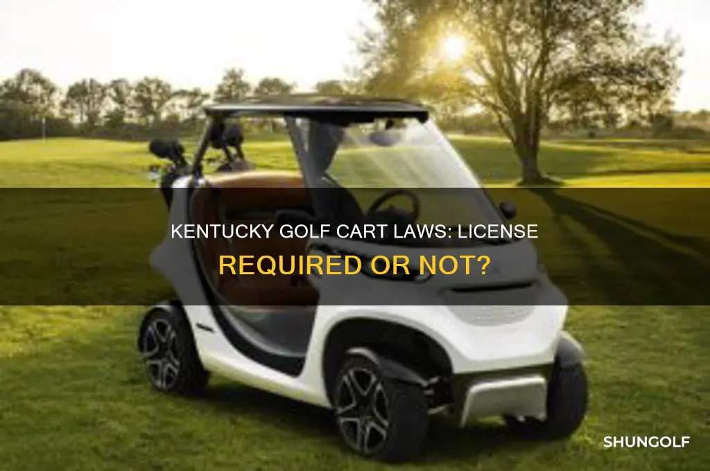 do you need license to drive golf cart in kentucky