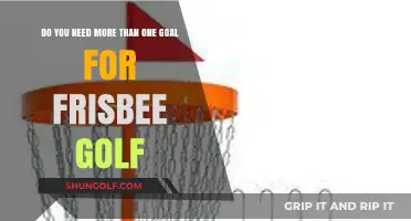 Maximizing Frisbee Golf Success: One Goal or Multiple Targets?