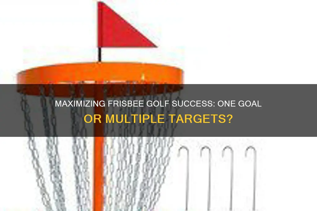 do you need more than one goal for frisbee golf