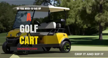 Gas or Electric: What Powers Your Golf Cart Best?
