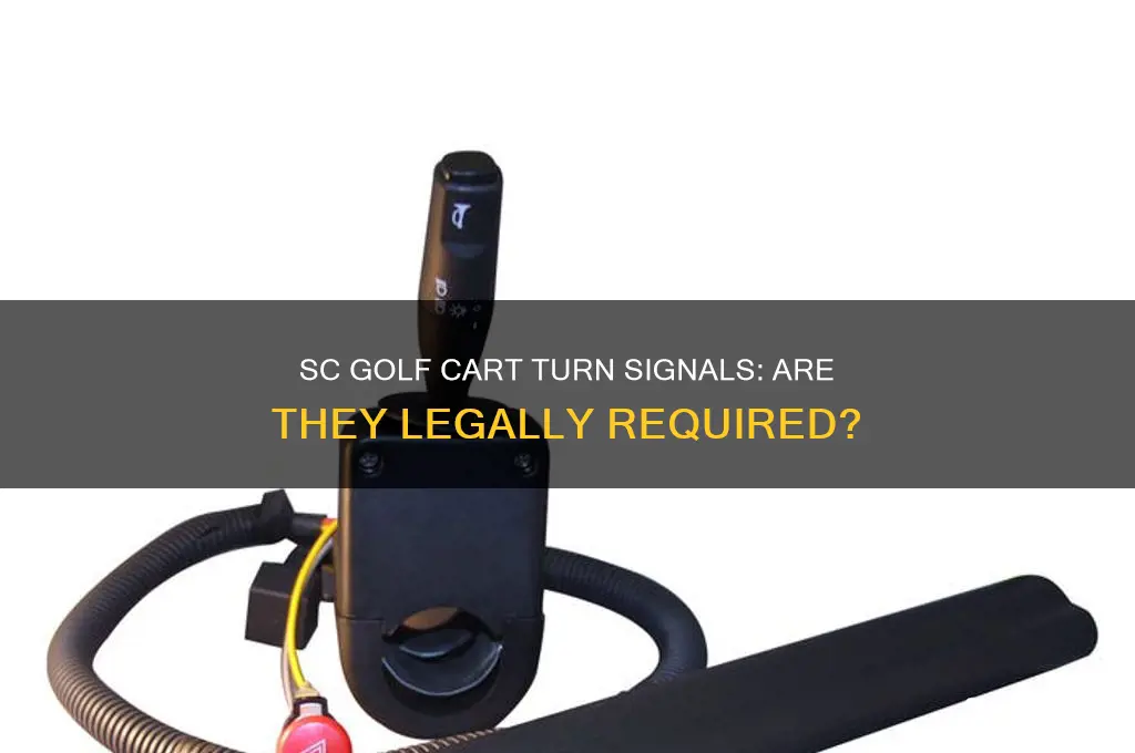 do you need turn signals on golf cart in sc