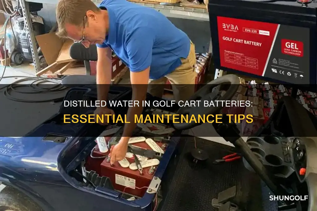 do you put distilled water in golf cart batteries