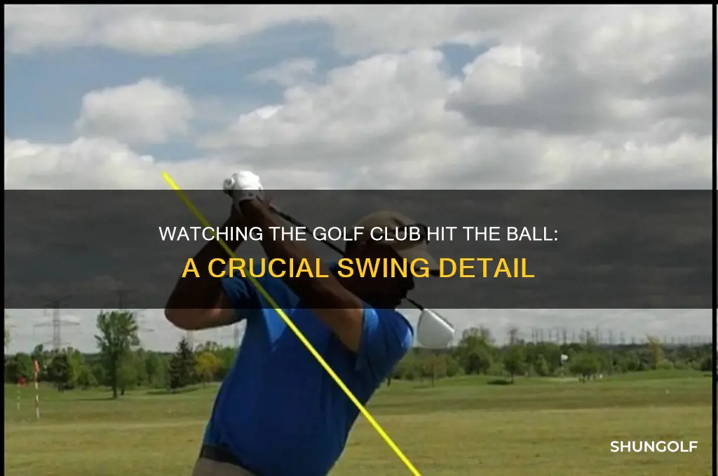 do you watch the golf club hit the ball
