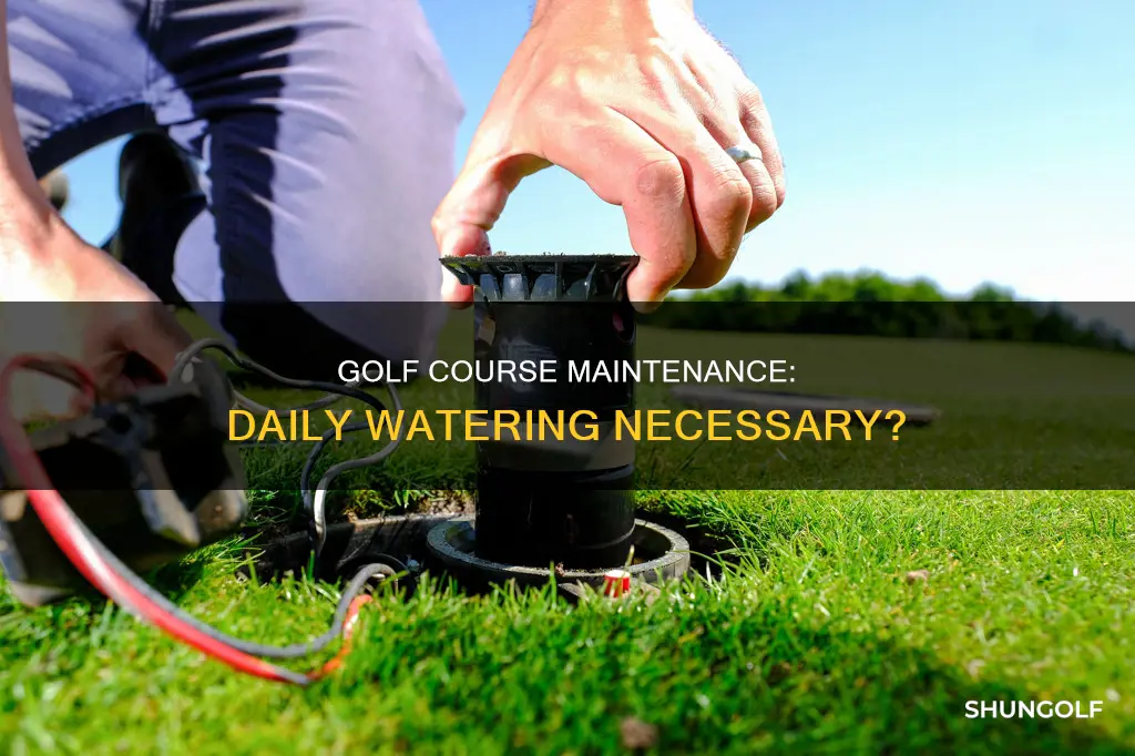 do you water golf corese everydat