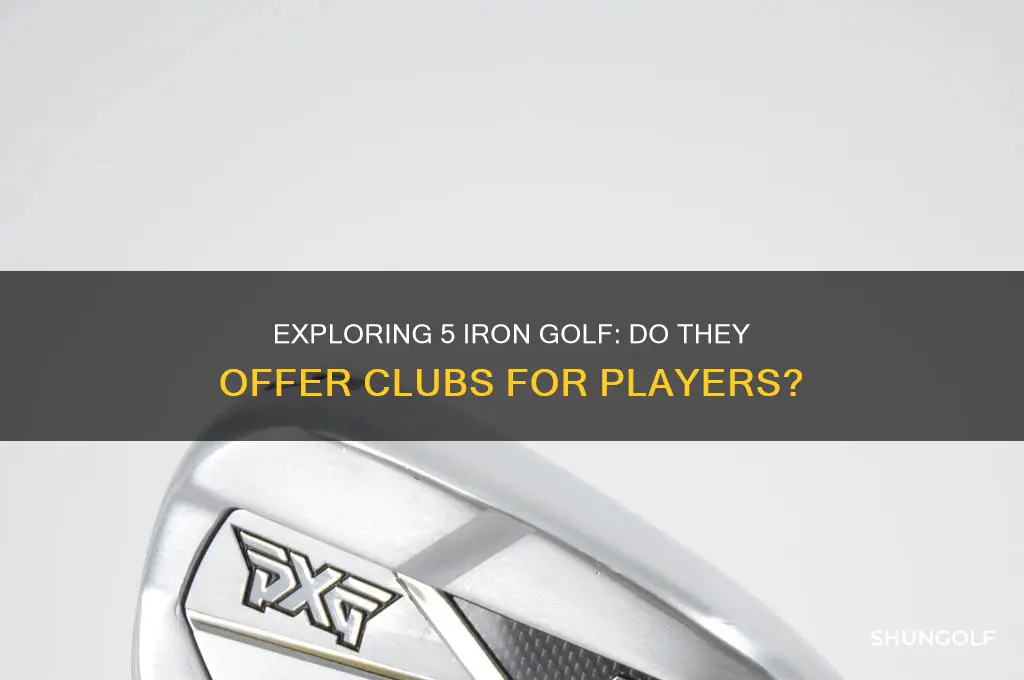 does 5 iron golf have clubs
