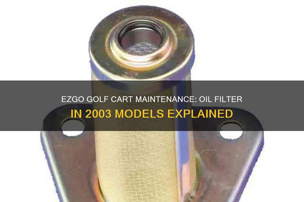 does a 2003 ezgo golf cart have an oil filter