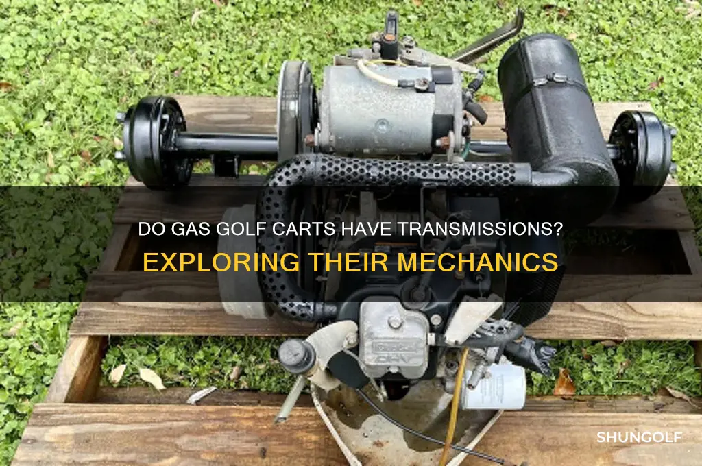 does a gas golf cart have a transmission