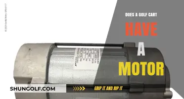 Golf Cart Motors: Unveiling the Power Behind the Ride