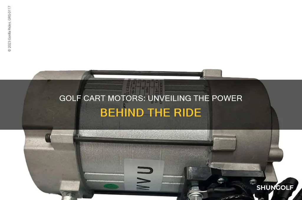 does a golf cart have a motor