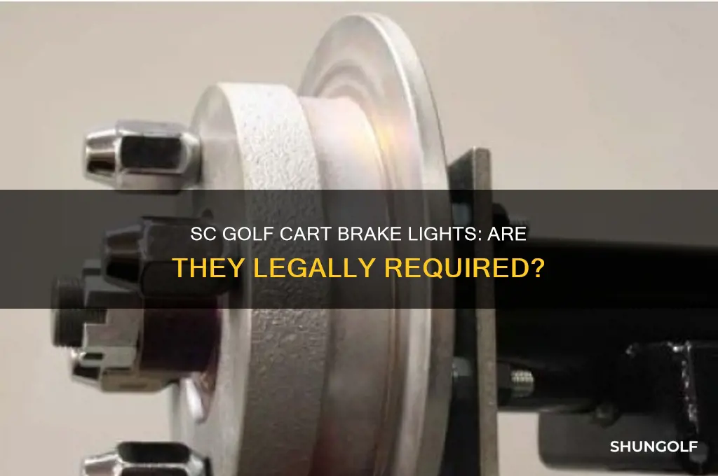 does a golf cart need brake lights in sc