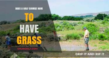 Grassless Golf Courses: Exploring Alternatives to Traditional Turf Greens