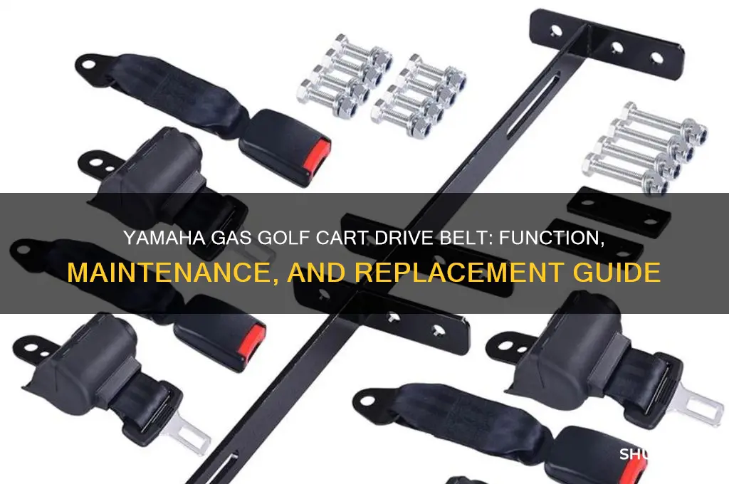 does a yamaha gas golf cart drive belt