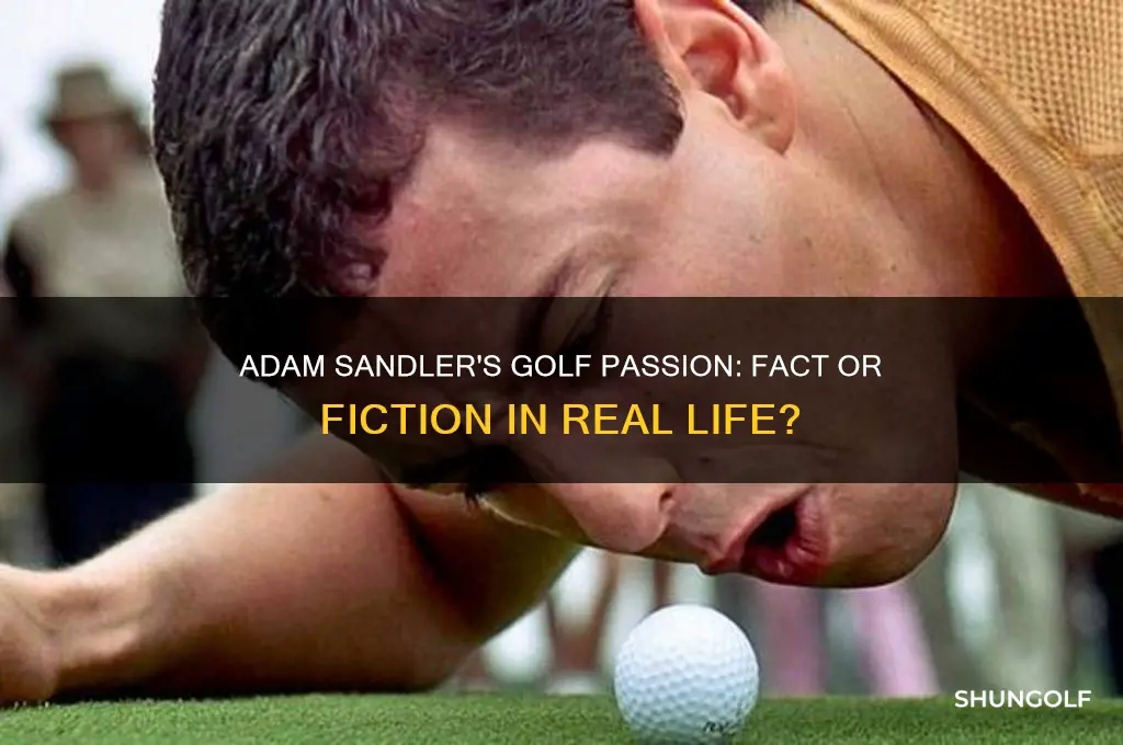 does adam sandler golf in real life