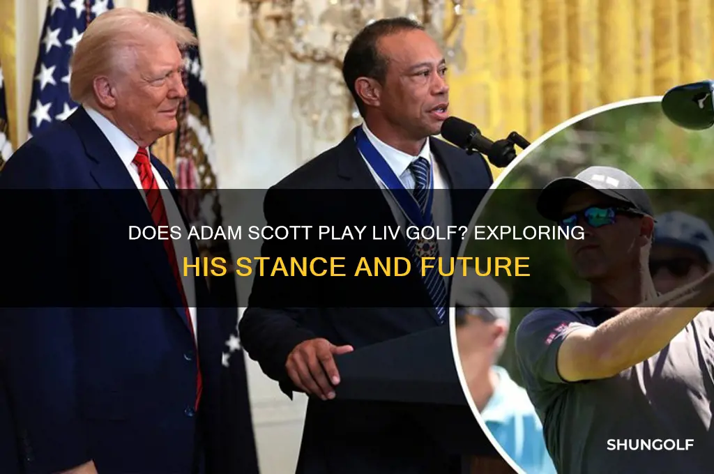 does adam scott play liv golf