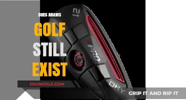 Adam Golf: Is It Still in the Game?