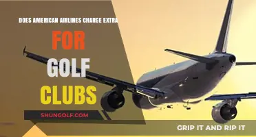 American Airlines Golf Club Fees: What Travelers Need to Know