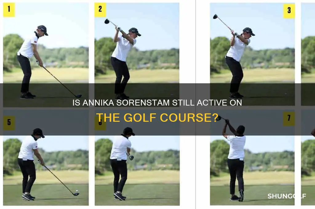does annika sorenstam still play golf