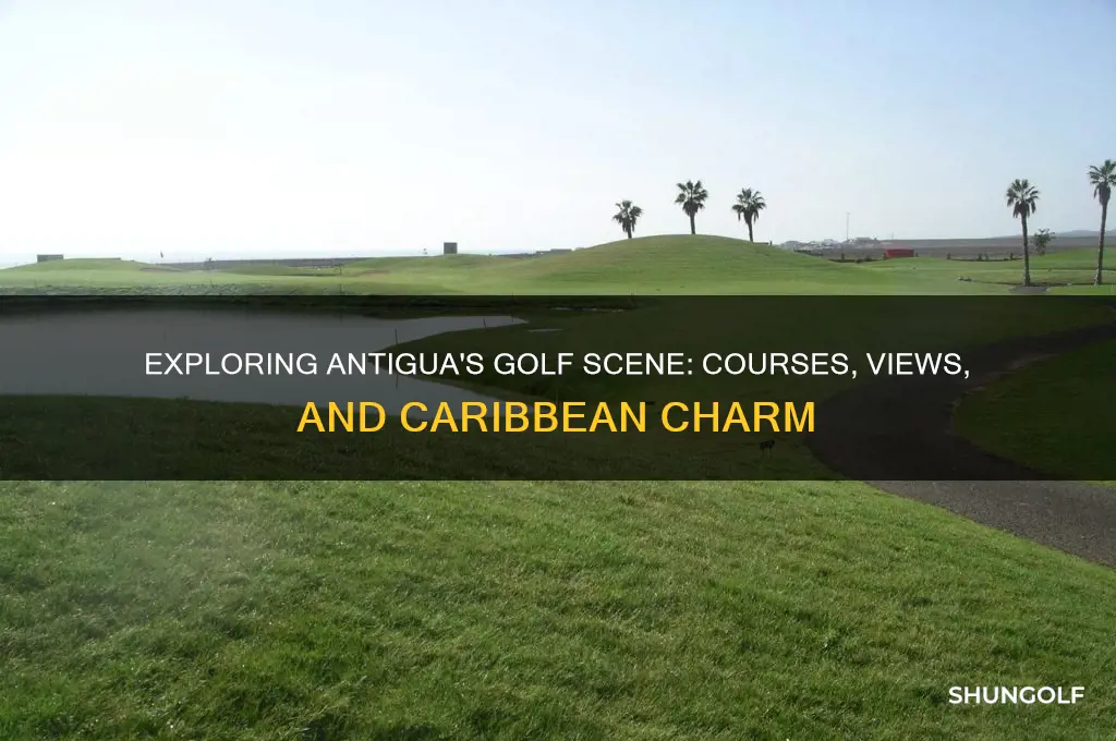 does antigua have golf courses