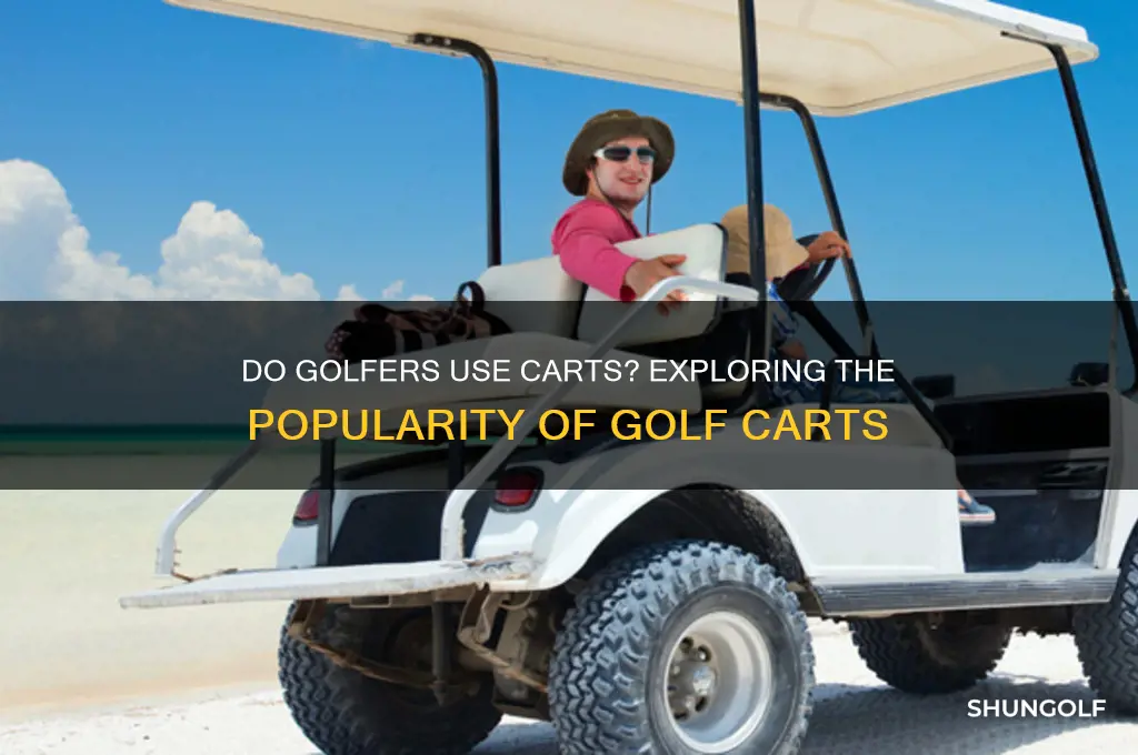 does any player use golf cart