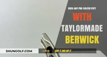 Pro Golfers and the TaylorMade Berwick Putter: Who Uses It?