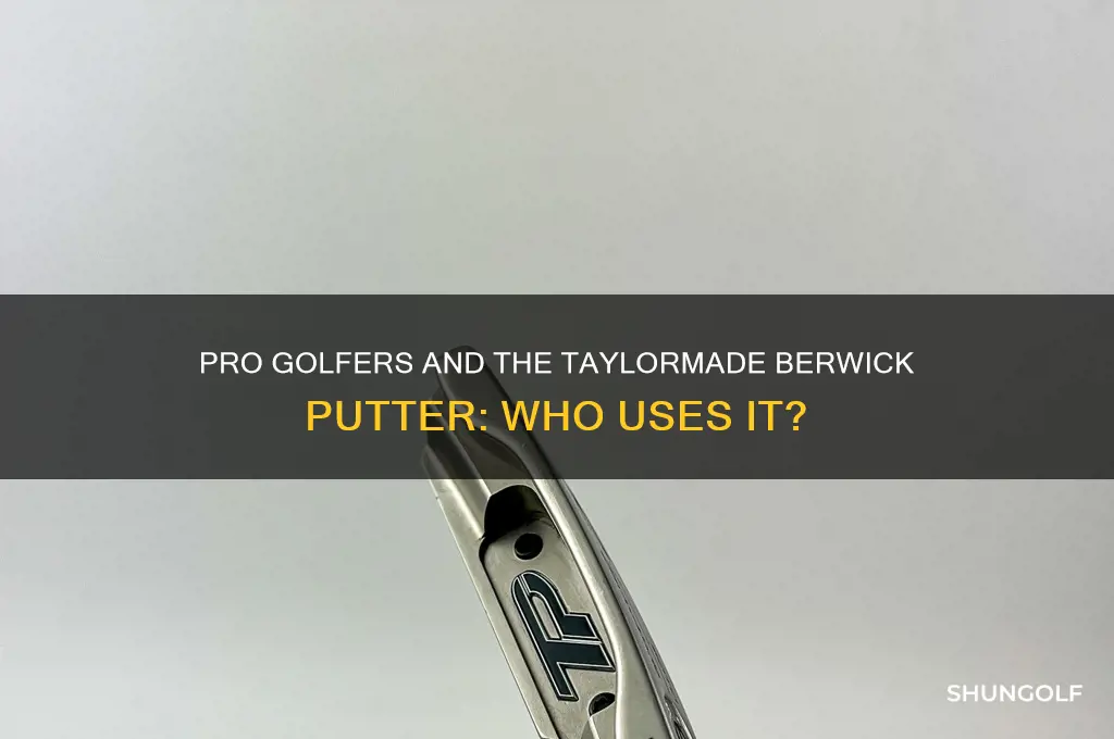 does any pro golfer putt with taylormade berwick