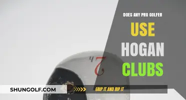 Do Pro Golfers Still Use Hogan Clubs Today?