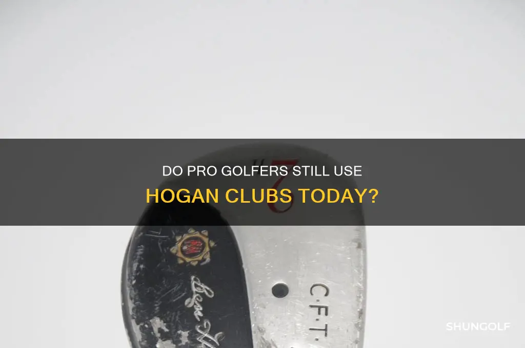does any pro golfer use hogan clubs