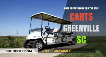 CT&T Golf Carts Greenville SC: Who's Working on Them?