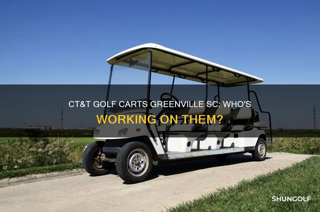 does anyone work on ct&t golf carts greenville sc