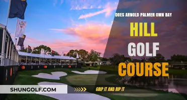 Does Arnold Palmer Own Bay Hill Golf Course? Unveiling the Truth