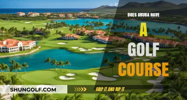 Exploring Aruba's Golf Scene: Discovering the Island's Premier Course