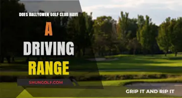 Ballyowen Golf Club: Driving Range Availability and Practice Facilities