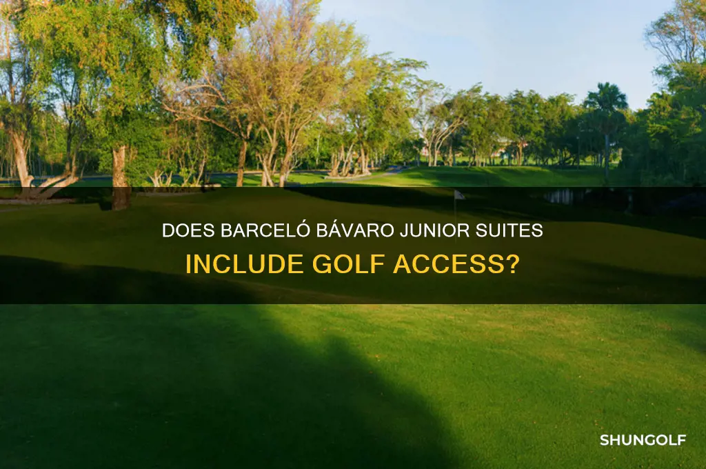 does barcelo bravaro jr suites include golf