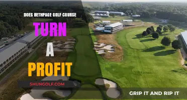 Does Bethpage Golf Course Turn a Profit? Analyzing Its Financial Performance