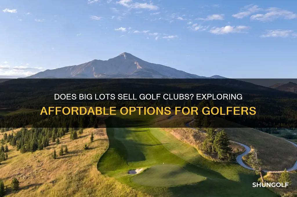 does big lots sell golf clubs