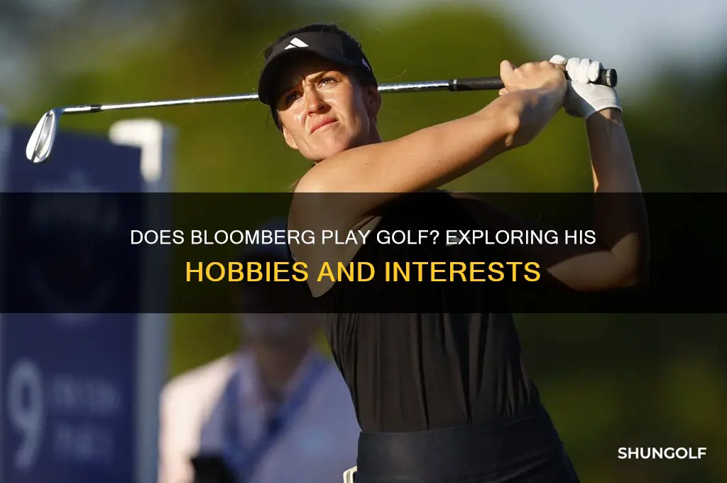 does bloomberg play golf