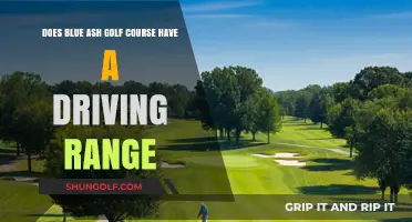 Blue Ash Golf Course Driving Range: Availability and Features Explained