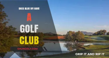 Blue Ivy's Golf Club: Fact or Fiction? Uncovering the Truth