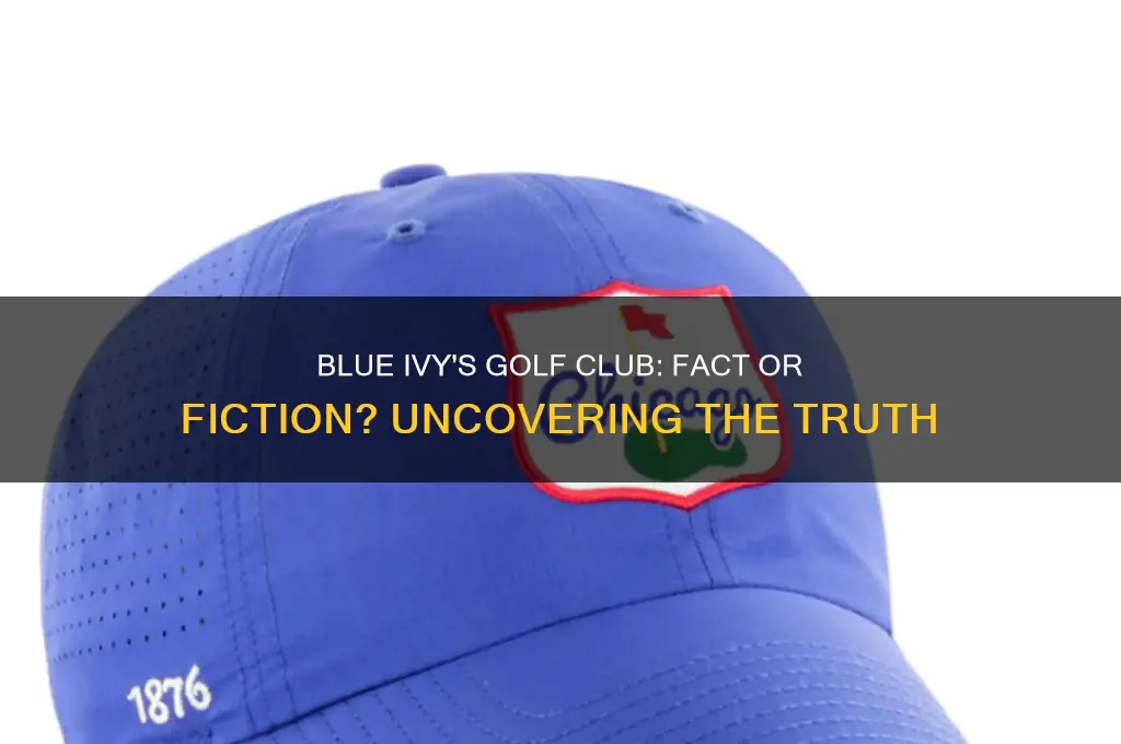 does blue ivy have a golf club