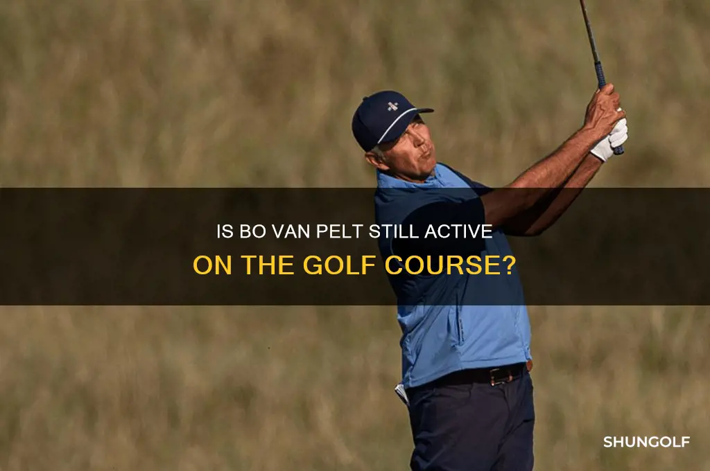 does bo van pelt still play golf