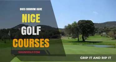 Exploring Bodrum's Golf Courses: Are They Worth the Visit?