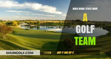 Does Boise State Have a Golf Team? Exploring Broncos Athletics