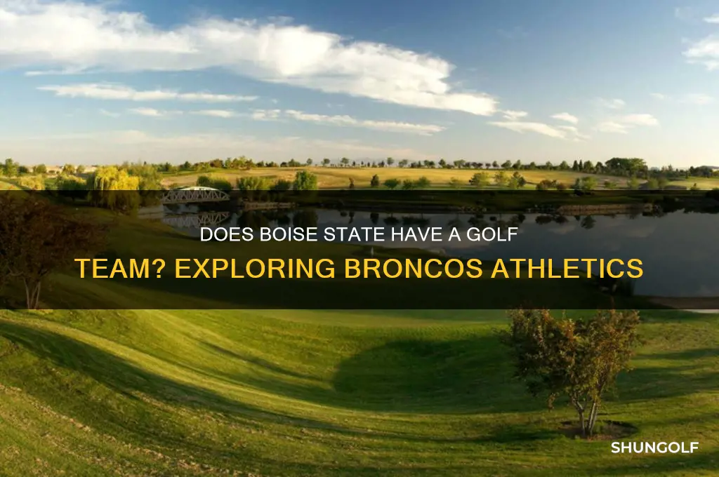 does boise state have a golf team