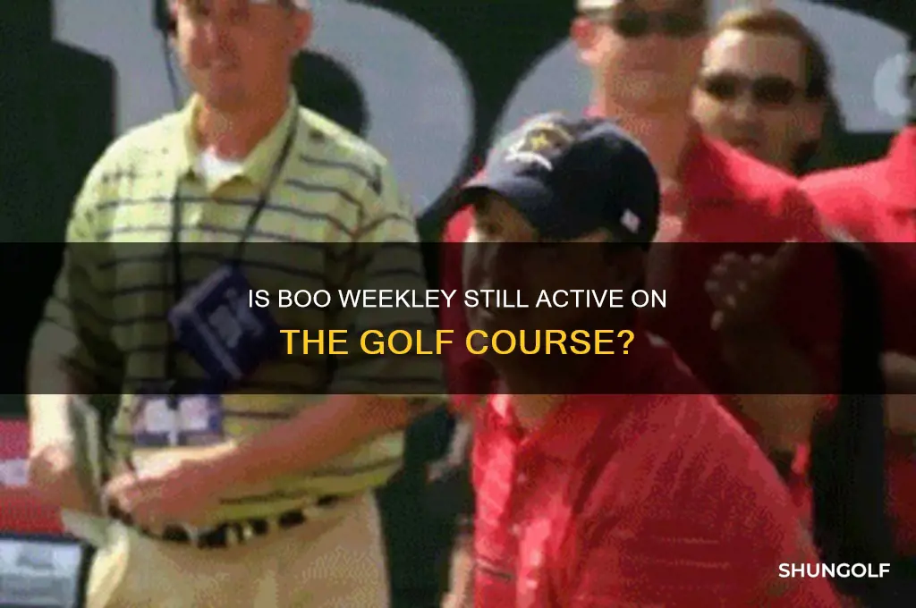 does boo weekley still play golf