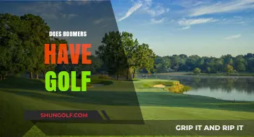 Golfing Boomers: A Sporty Retirement